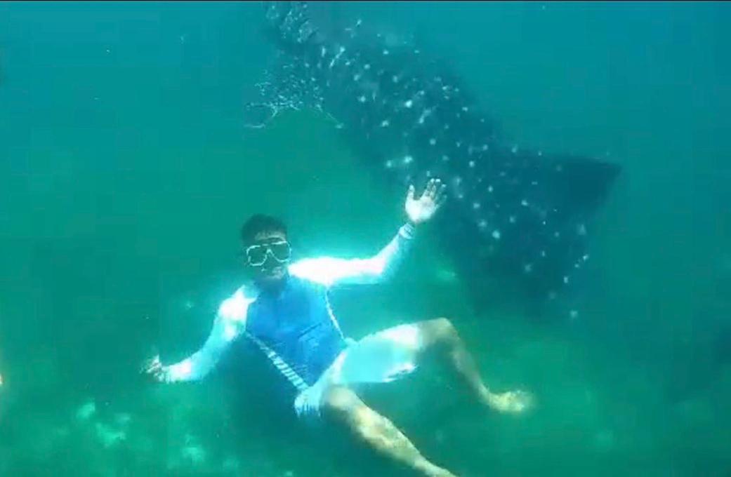 Gon Tourist Inn Panglao Dış mekan fotoğraf